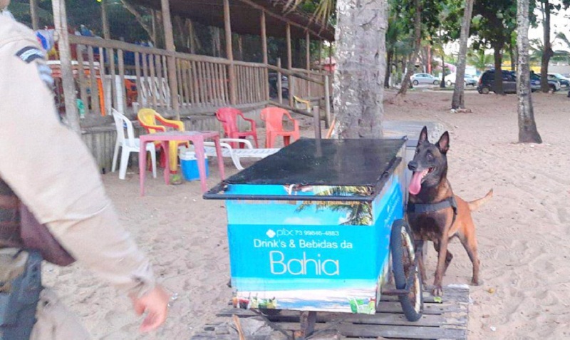 Cão da Polícia Militar descobre drogas em carrinho de bebidas na praia praia