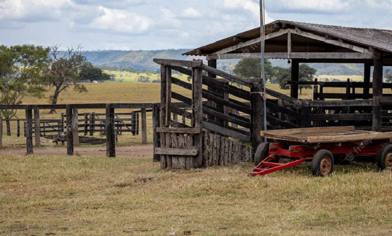 Trabalhador de fazenda é atingido por tiro acidental enquanto abatia vaca