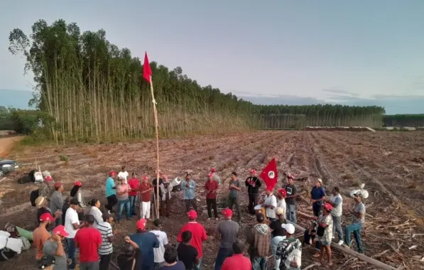 PSOL declara apoio ao MST em ocupações de fazendas de eucalipto no sul da Bahia