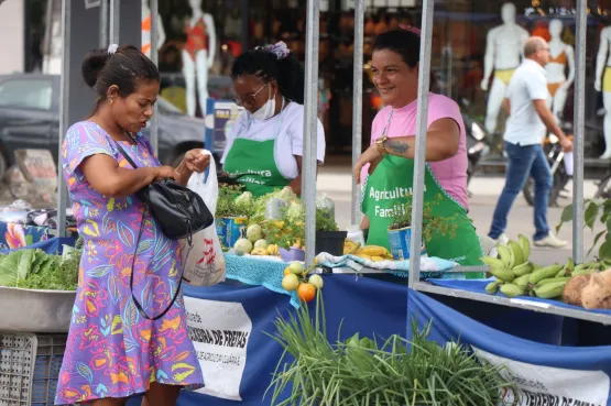 Teixeira: Prefeitura promove última edição de 2023 da Feira da Agricultura Familiar