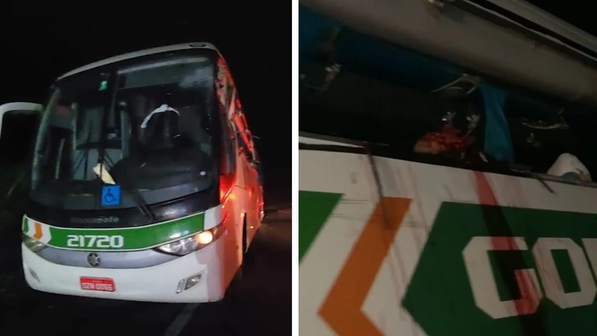 Ônibus é atingido por carreta na BR-101 deixando quatro passageiros mortos