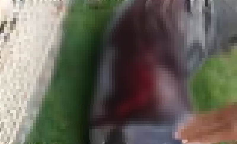 Violência: Polícia apreende dois adolescentes que tentaram matar jovem com golpes de facão em Nova Viçosa; vitima está grave