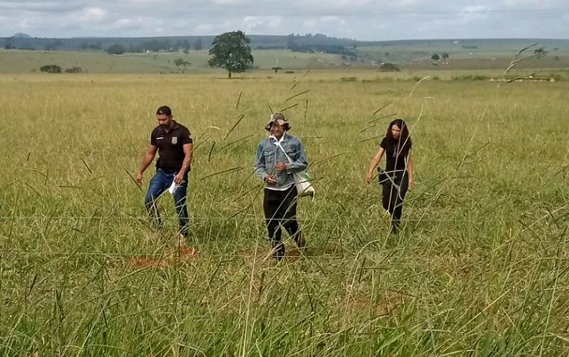 Lajedão: Suspeito de abusar sexualmente da sobrinha de 12 anos é preso pela Polícia na zona rural  Civil