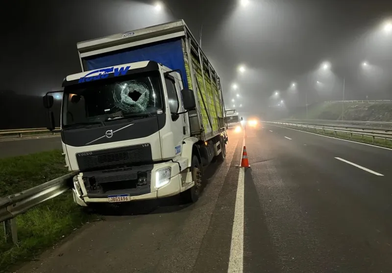 Caminhoneiro Teixeirense morre após ser atingido por pedra de 12 kg na BR-386, em Lajeado